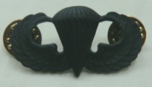 画像3: 米軍　ベーシック空挺章　黒　バッチ　ピンズ