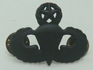 画像3: 米軍　マスター空挺章　黒　バッチ　ピンズ