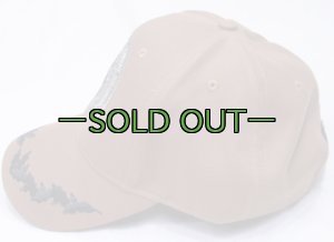 画像3: キャップ　コヨーテ　NAVY NECC