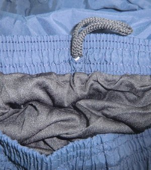 画像10: NAVY　PTトランクス