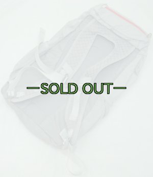 画像2: REI FLASH22バックパック　シルバーグレー