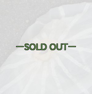 画像5: パラシュート　直径約4.3m　白