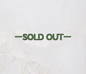 画像8: パラシュート　直径約4.3m　白