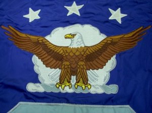 画像5: USAF　空軍旗　支給品