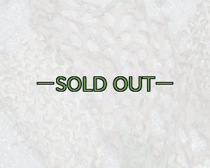 画像3: 旧型偽装網　中古良品　3.7×3.1m　ウッドランド