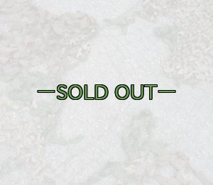 画像14: 旧型偽装網　中古良品　3.7×3.1m　ウッドランド