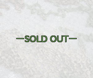 画像13: 旧型偽装網　中古良品　3.7×3.1m　ウッドランド