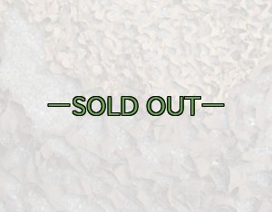 画像11: 旧型偽装網　中古良品　3.7×3.1m　ウッドランド