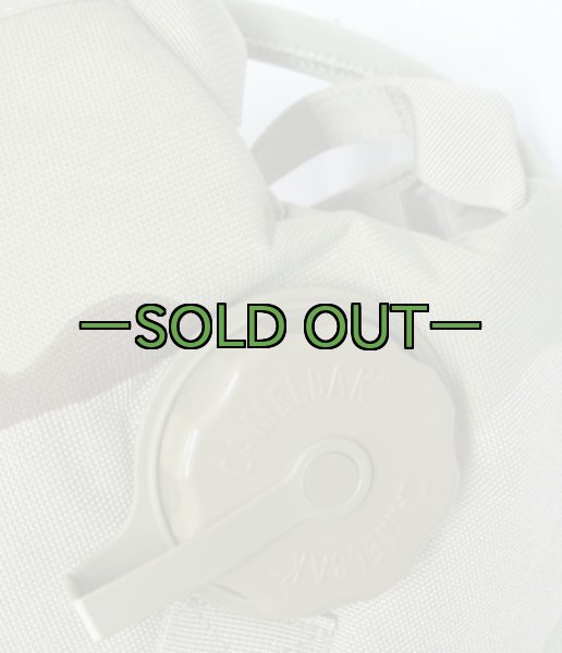 画像3: 3C　キャメルバック　3L (3)