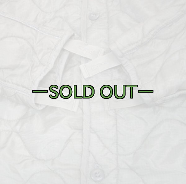 画像2: M65フィールドジャケット用ライナー　ボタン付　ACU　ABU (2)