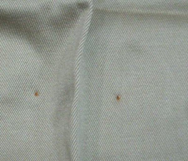 画像2: チノシャツ　XLサイズ　新品同様　69年 (2)