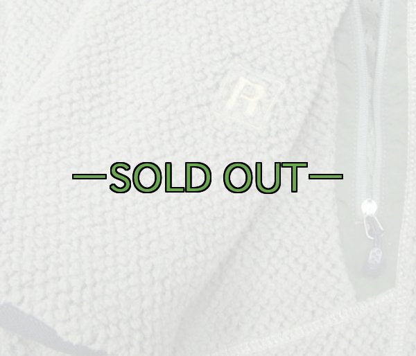 画像5: パタゴニアジャケット　ポーラテック　Lサイズ　中古良品 (5)