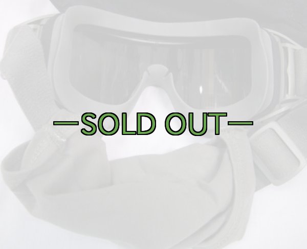 画像3: REVISIONゴーグル　LOCUST　クリアー＆スモークレンズ　FG (3)