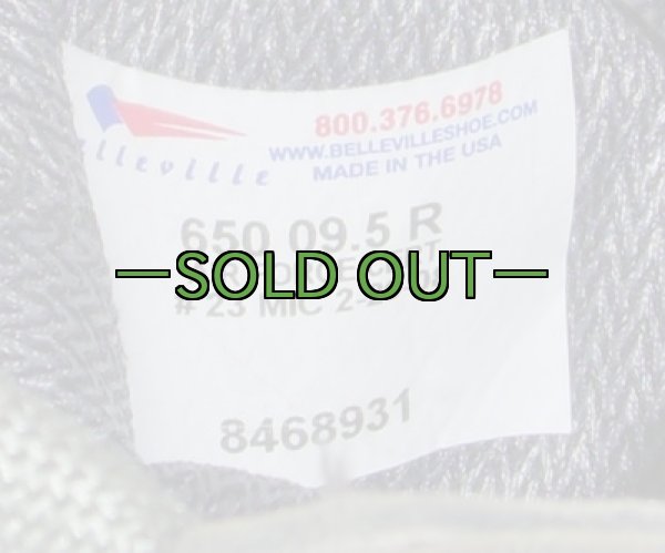 画像3: ABUブーツ　9.5R　中古上　ゴアテックス　Belleville 650 (3)