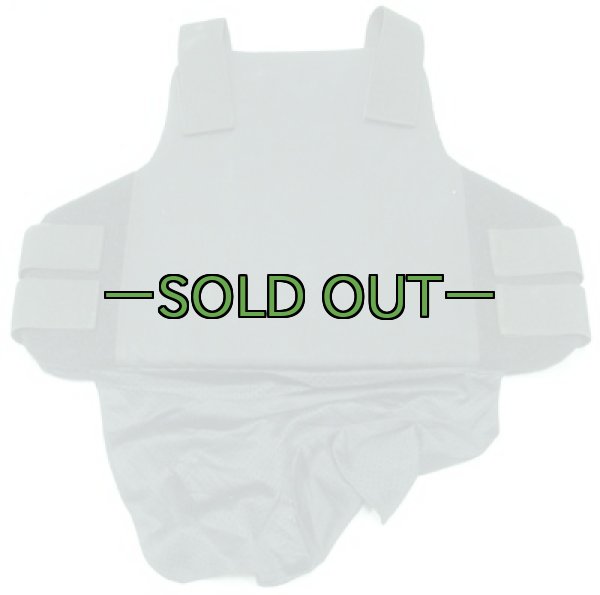 画像4: ASアーマー01　中古上 (4)