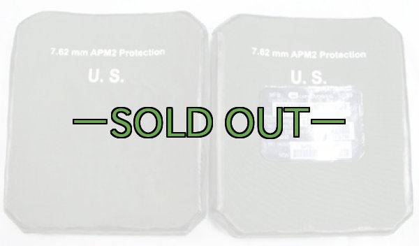 画像2: ハードプレート01　中古上　左右セット　サイド用 (2)