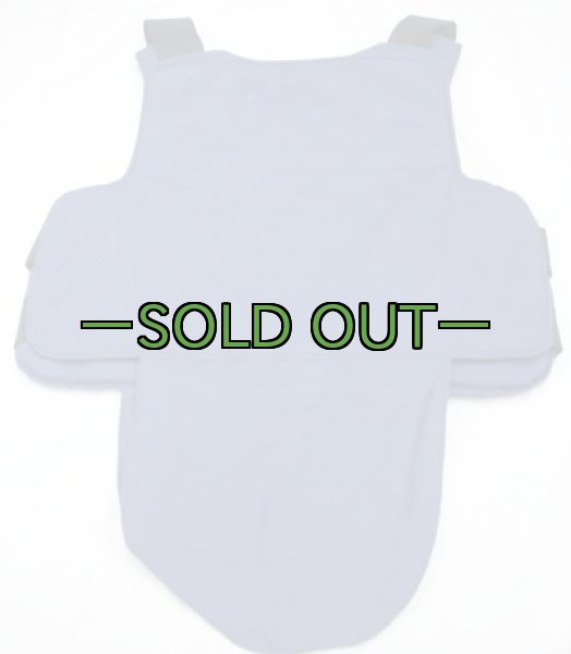 画像4: ABAボディ アーマー02　L-レギュラー　中古良品 (4)