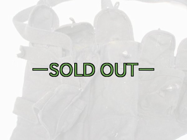 画像2: 詳細不明 チェストリグ02　中古並 (2)