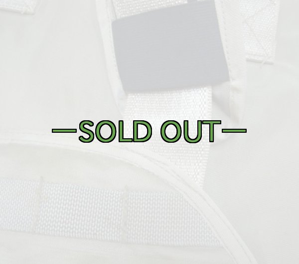 画像2:  詳細不明 プレートキャリア01　中古良品 (2)