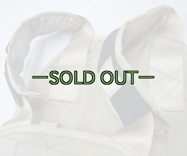 画像4:  詳細不明 プレートキャリア01　中古良品 (4)