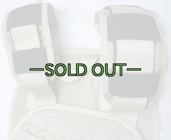 画像5:  詳細不明 プレートキャリア01　中古良品 (5)