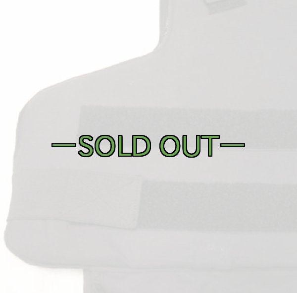 画像4: ポイントブランク アーマー02　中古良品 (4)