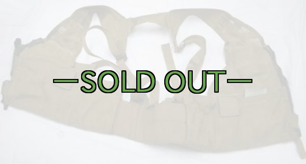 画像4: MOLLE2ベスト　コヨーテ　黒ファステックス (4)