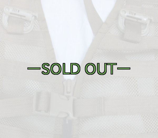 画像4: MOLLE2ベスト　コヨーテ (4)