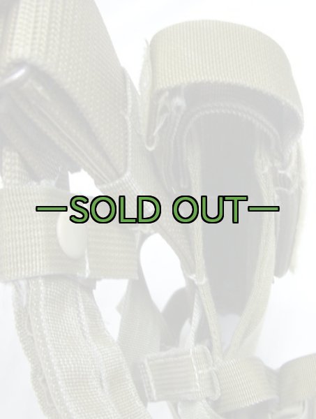 画像2: LBT レッグホルスター　コヨーテ　中古並〜良品 (2)