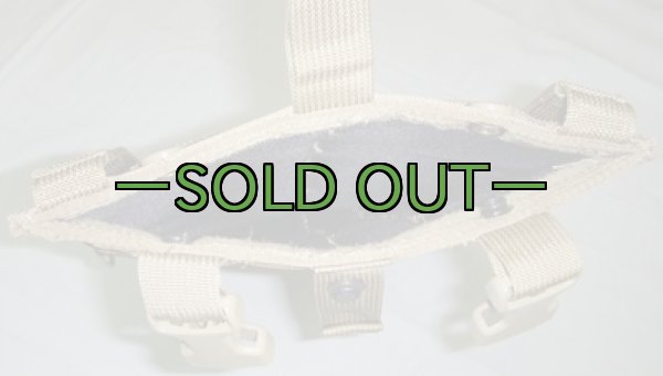 画像2: EAGLE ハイドレーションポーチ　コヨーテ (2)