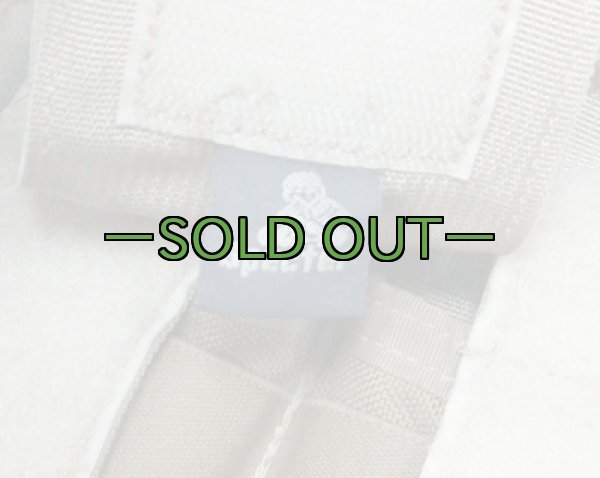 画像2: SPECTER 2連M4マグポーチ　コヨーテ (2)