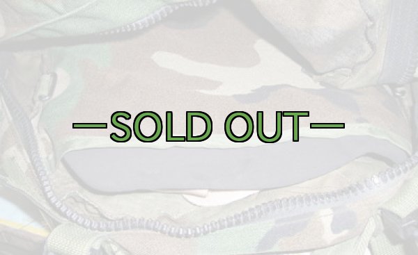 画像2: MOLLE2 パトロールパック　ウッドランド (2)