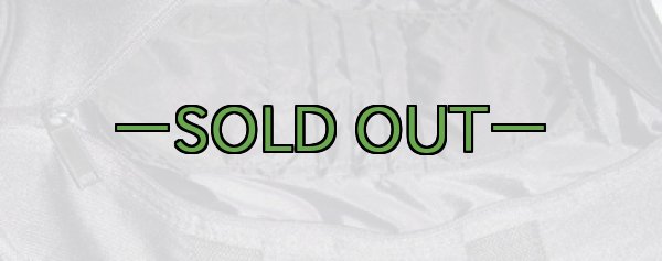 画像4: オレゴンエアロ バッグ　中古上 (4)