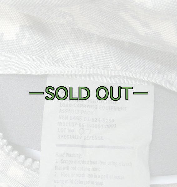画像3: MOLLE2 パトロールパック　ACU (3)