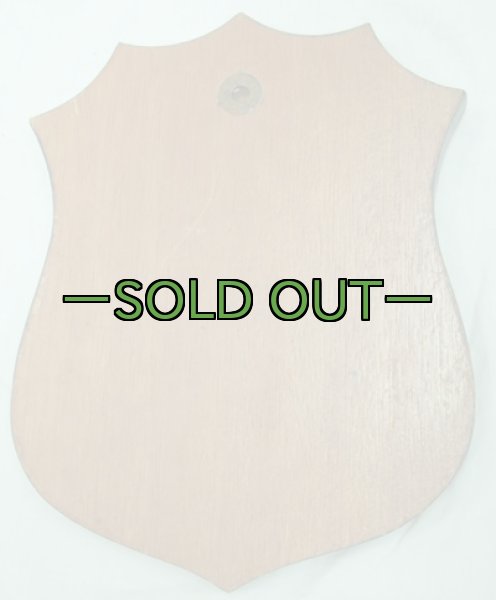 画像4: プラーク　18th SUPPLY SQUADRON (4)