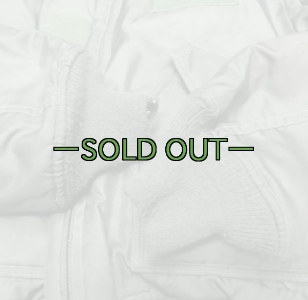 画像4:  CWU-45/P フライトジャケット　2000年代　Lサイズ　中古良品 (4)