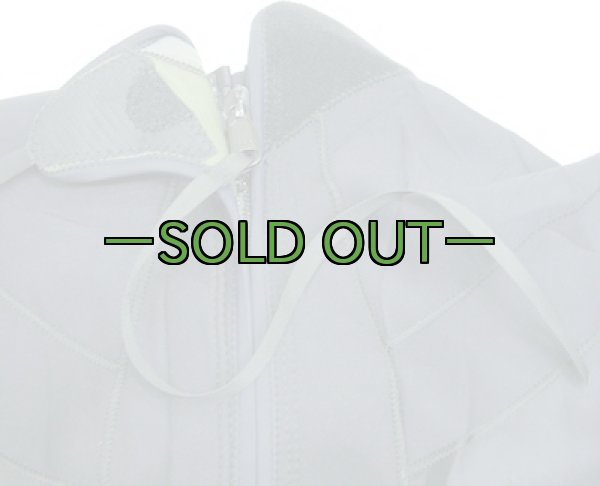 画像5: ウェットスーツ　ショート　新品同様　XL　PJ (5)