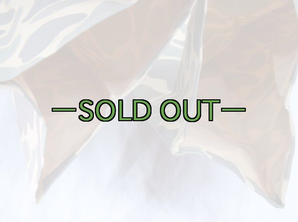 画像10: ダックハンター？レインオーバーオール　ローカルメイド (10)