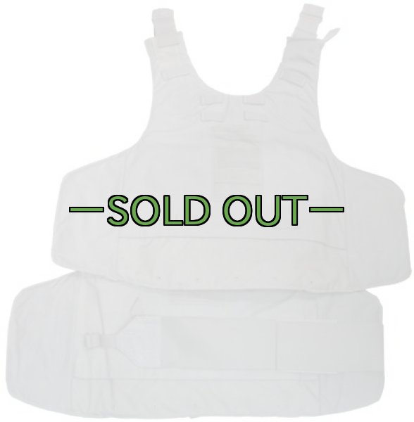 画像2: ACU　ボディアーマー　前後のみ　IOTV　欠品品 (2)