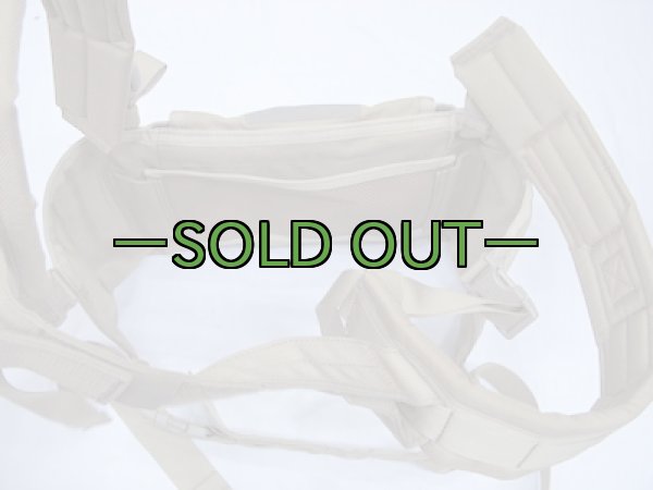 画像7: BHIベスト コヨーテ? (7)