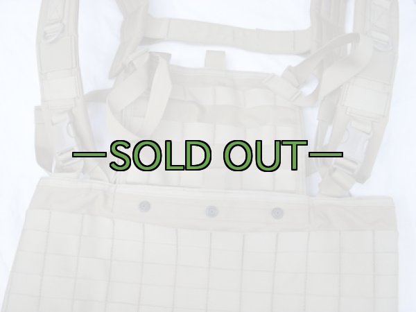 画像4: BHIベスト コヨーテ? (4)