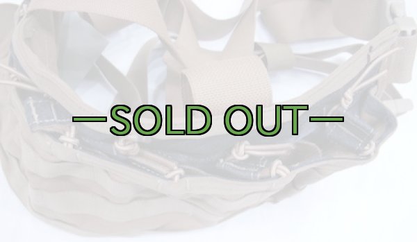 画像3: DBTベスト　チェストリグ　コヨーテ　LOW VIS RACK (3)