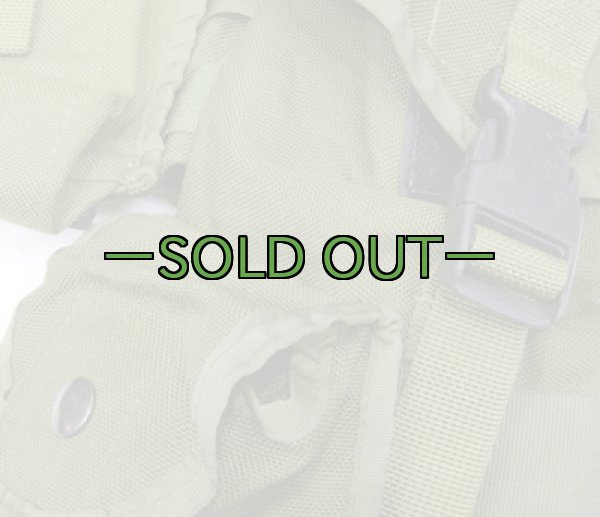 画像3: タクティカルテイラーベスト　MAV　OD　ポーチ付き (3)