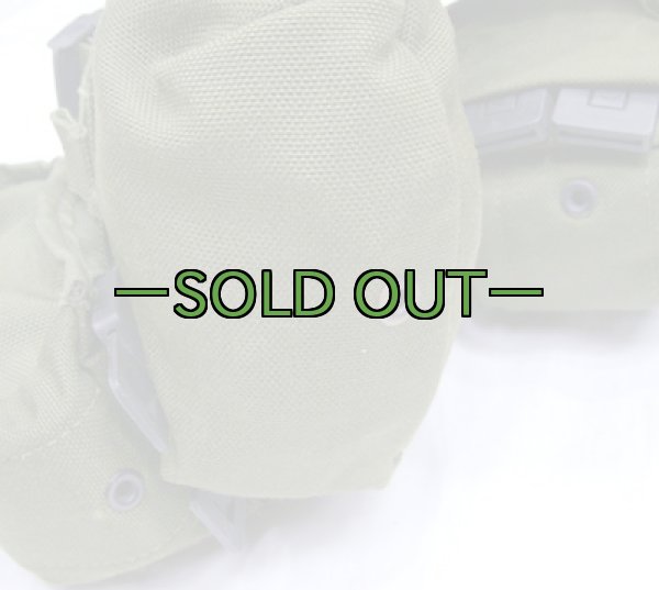 画像10: タクティカルテイラーベスト　MAV　OD　ポーチ付き (10)