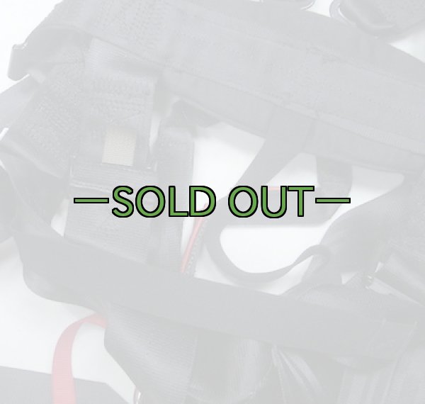 画像9: ハーネス　SCHROTH (9)