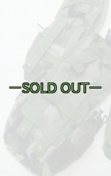 画像16: RACKハーネス　ウッドランド　デザートファステックス&ポーチ13個　中古並 (16)