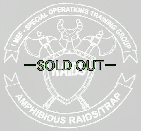 画像5: スウェットパーカ SOTG RAIDS (5)