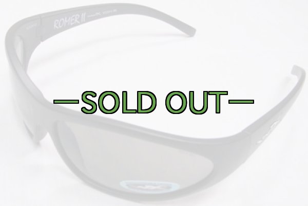 画像2: WILEY-X　ROMER2 (2)