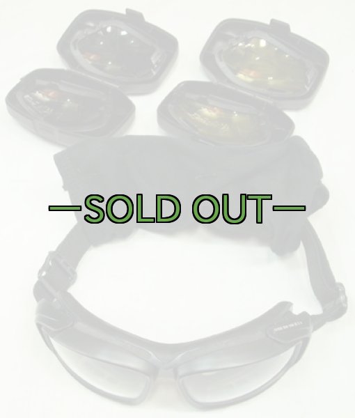 画像3: ESSゴーグル アドバンサー V12 (3)