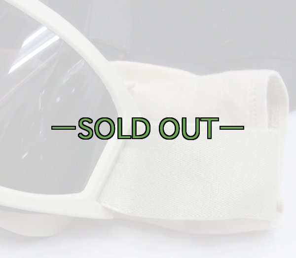 画像4: ESSゴーグル　タン (4)